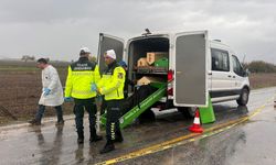 Milas'ta yol kenarında erkek cesedi bulundu