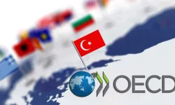 OECD'den Türkiye tahmini: 2025 yılında neler olacak?