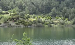 Sakinlik arayanlar için İzmir'in gizli kalmış cenneti: Üstelik ESHOT ile ulaşım var