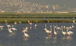 Tugay’ın projesi mahkemeden döndü: Davanın kaybedeni İzmir Büyükşehir!