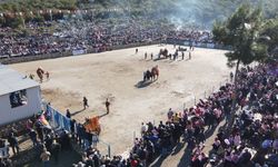 Bodrum’da Geleneksel Deve Güreşi Festivali coşkuyla gerçekleşti