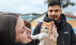 Buca'da mucizenin adı olmuştu: Minik Mucize yeni yuvasına kavuştu