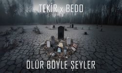 Tekir & Bedo - Ölür Böyle Şeyler şarkı sözleri