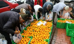 Üreticiden halka: Bodrumda vatandaşa 10 ton mandalina dağıtıldı