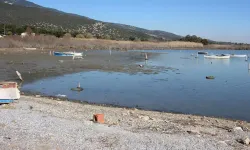 Bu kez Aydın: Deniz 30 metre çekildi