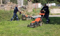 Bayraklı'da parklara büyük bakım: Çimlerden oyun ekipmanlarına kadar her şey yenileniyor