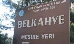 İzmir şehir merkezine yakın tarihi ve doğasıyla büyüleyen bir yer: Belkahve Piknik Alanı