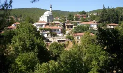 İzmir'de şifa arayan bu köye gidiyor: Doğal güzellikleri büyülüyor, suyu böbrek taşını düşürüyor