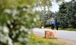 İzmir'in doğal cennetleri: Toplu taşıma ile gidebileceğiniz 3 trekking rotası