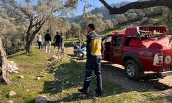 Muğla'da yangın: Söndürme çalışmaları devam ediyor