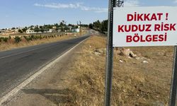 Kuduz alarmı: O ilçede 6 ay boyunca karantina uygulanacak