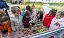 Karşıyakalı minikler sürdürülebilir tarımla tanışıyor: Eğitimler sürecek