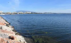 Karşıyaka Bostanlı sahilinde deniz yosunları yeniden görüldü