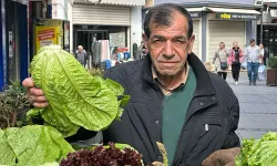 Kemeraltı'nın sevilen esnafı, şifalı Ege otlarıyla bir kültürü yaşatıyor: Burası İzmir, burada doğallık kazanır
