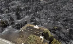 İzmir’de kaçak kazı ve yangın davası: 2 sanık tahliye edildi!