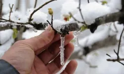 Meteoroloji Aydın'ı uyardı: 4 gün etkili olacak