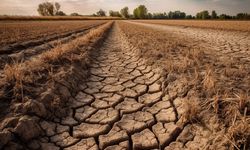 İzmir’de kuraklık alarmı: Tehlike büyüyor!