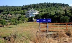 İzmir'e 20 dakika uzaklıkta bir doğa harikası: Çiçekliköy nerede, nasıl gidilir?