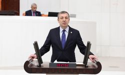 CHP’li Türeli’den hükümete ekonomi eleştirisi