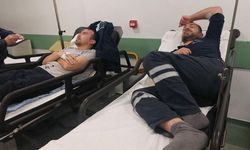 225 işçi zehirlenmişti: Nedeni belli oldu!