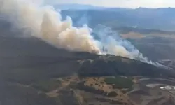 İzmir'de korkutan anlar: Aliağa'da yangın çıktı!