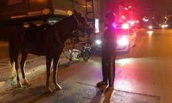 Atla giderken 'alkollü araç kullanmak'tan ceza yedi