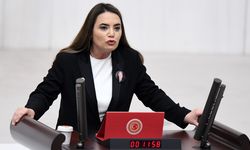 Babası Türkeş’in kabrine gitmek istemişti: Ayyüce Türkeş ve heyetine saldırı