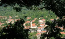 Meşe ve çam ormanları arasında eşsiz bir güzellik: Yazın serinlemek ve piknik yapmak isteyenlerin akınına uğruyor