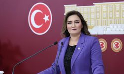 CHP’li Kılıç'tan yürüyüş kanunu için TBMM’ye 23 maddelik teklif