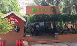 İzmir'de çınar ağaçlarının gölgesinde, kuş seslerini dinleyeceğiniz bir kafe: Üstelik çay 10, gözleme 80 TL