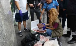 İzmir'den otobüsle göndermişler: Çöp torbalarında 300 kilogram et bulundu