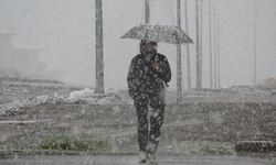 Görenler gözlerine inanamadı: Mayıs ayı ortasında lapa lapa kar yağdı