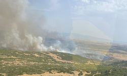 OGM duyurdu: Foça’daki yangın kontrol altına alındı