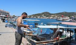 Foça’da sürdürülebilirlik hamlesi: Buranın Balıkları projesiyle hem balıkçıya hem sofraya destek