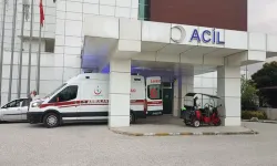 Bir ailenin en acı tatili: Havuzda acı son