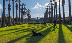 İzmir'e yeşil koridor geliyor: Kültürpark ve Yeşildere birleşecek