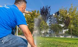 İzmir'de yaz öncesi su seferberliği: Parklarda akıllı sulama dönemi başlıyor