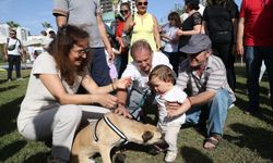 Karşıyaka’da can dostlar için Yaza Merhaba Festivali