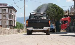 Kemalpaşa Belediyesi’nden ilaçlama seferberliği