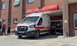 Minik bebek kene ısırığından hayatını kaybetti