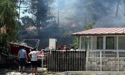 Muğla'da yerleşim alanına yakın orman yangını: Müdahale devam ediyor