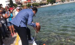 Muğla'da 2.500 yıllık hayal: Akdeniz suyu Ege Denizi’yle buluştu