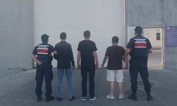 Ormanda saklanmış 7 bin yasaklı madde ele geçirildi