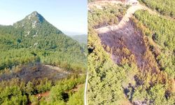 Marmaris Yeşilbelde’deki orman yangını kontrol altına alındı