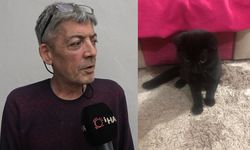 Sahipli kedi kuyruğundan tutularak çalındı: O anlar kamerada