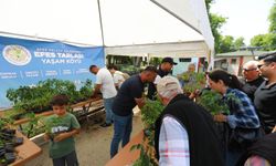 Selçuk’ta tarımsal üretime bir destek daha: 14 bin fide halka buluştu
