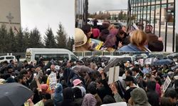 Hayvan hakları savunucuları AYM önünde protesto: Arbede yaşandı