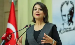 CHP'li Taşçıer'den Özel'e yönelik saldırıya tepki: Demokrasiye 'geçmiş olsun' demek lazım