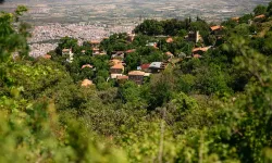 Ne Seferihisar ne Urla: İzmir'de emekli olan buraya taşınıyor, sakinliği ve yemyeşil doğası ile tercih ediliyor