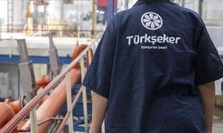 TÜRKŞEKER 14 ilde 111 sürekli işçi alımı yapacak: Başvurular 26 Mayıs’ta başlıyor